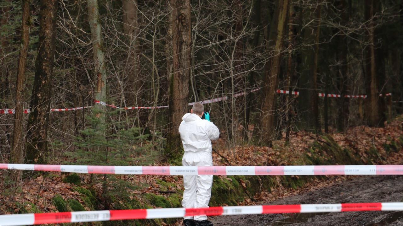 Speurhonden kammen bos Enschede uit na vondst lichaam