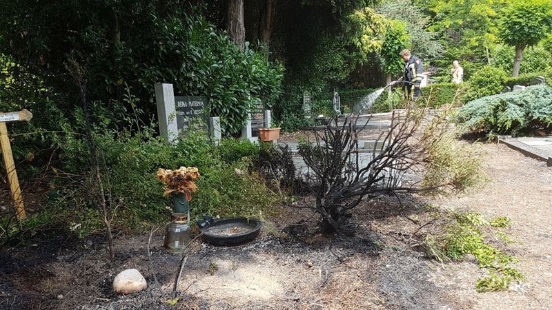 Onkruid branden op kerkhof Borne gaat mis, struiken en boom vatten vlam - RTV Oost